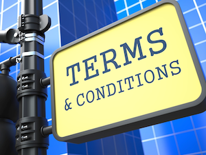 Payment Terms and Conditions